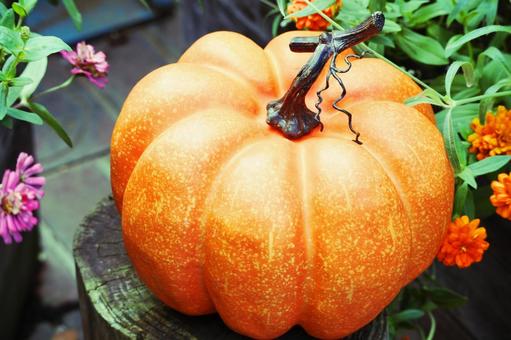 鮮やかなオレンジ色のカボチャ 鮮やかなオレンジ色のカボチャ ハロウィン,かぼちゃ,カボチャの写真素材