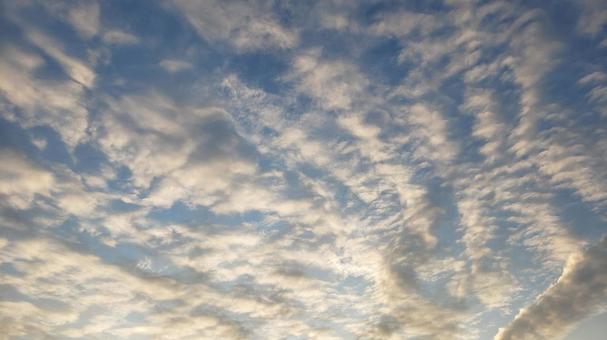 秋の空 秋の空の写真