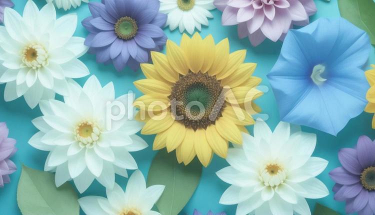 7月誕生花　睡蓮 7月誕生花,スイレン,７月の写真素材