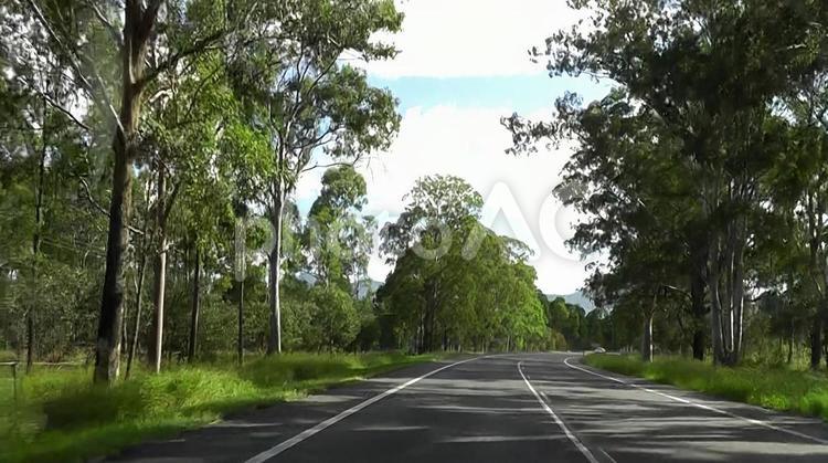海外のハイウェイ② ハイウェイ,道路,木の写真素材