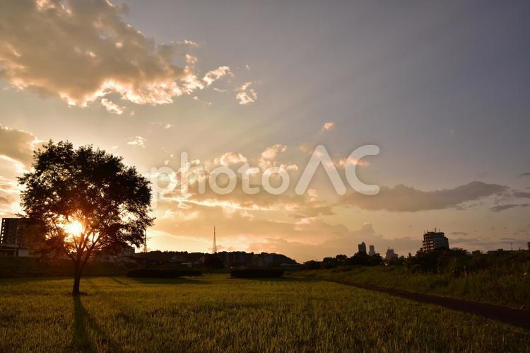 宮城県仙台市　広瀬川河川敷からの風景 夕焼け,夕方,太陽の写真素材
