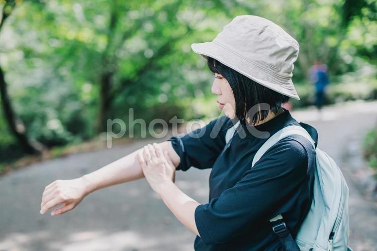 緑の中で日焼け止め塗る女性 日焼け止め,日焼け止めクリーム,紫外線の写真素材