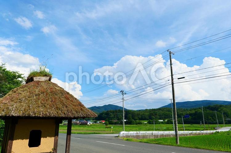 夏を迎えた山里。遠野、岩手。7月上旬。 雲,積乱雲,入道雲の写真素材