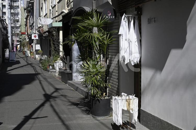午後の光の路地 裏路地,午後,午後の光の写真素材