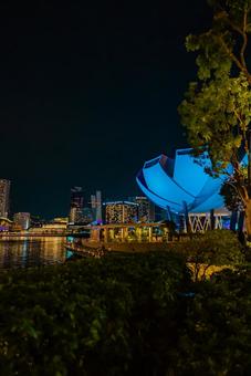 【シンガポール】マリーナベイサンズの周辺 シンガポール,マリーナベイサンズ,ベイフロントの写真素材