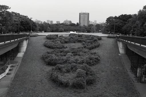 木場公園 モノクロ 木場公園 モノクロ 木場公園,公園,モノクロの写真素材