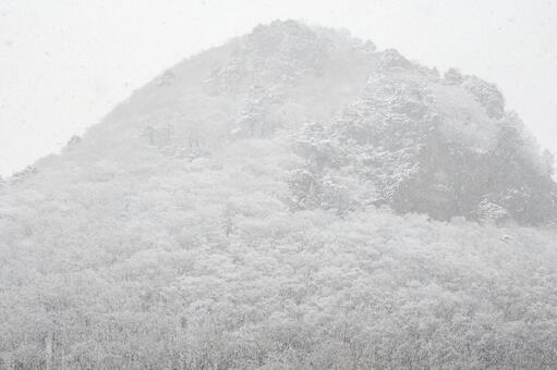 雪のゴリラ山⑵ 冬,雪,ゴリラ岩の写真素材