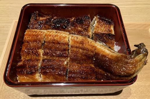 Eel weight, JPG Eel weight, JPG
