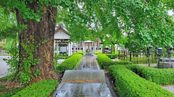 坂東33観音 08番 星谷寺 雨天の参道 星谷寺,妙法山,参道の写真素材