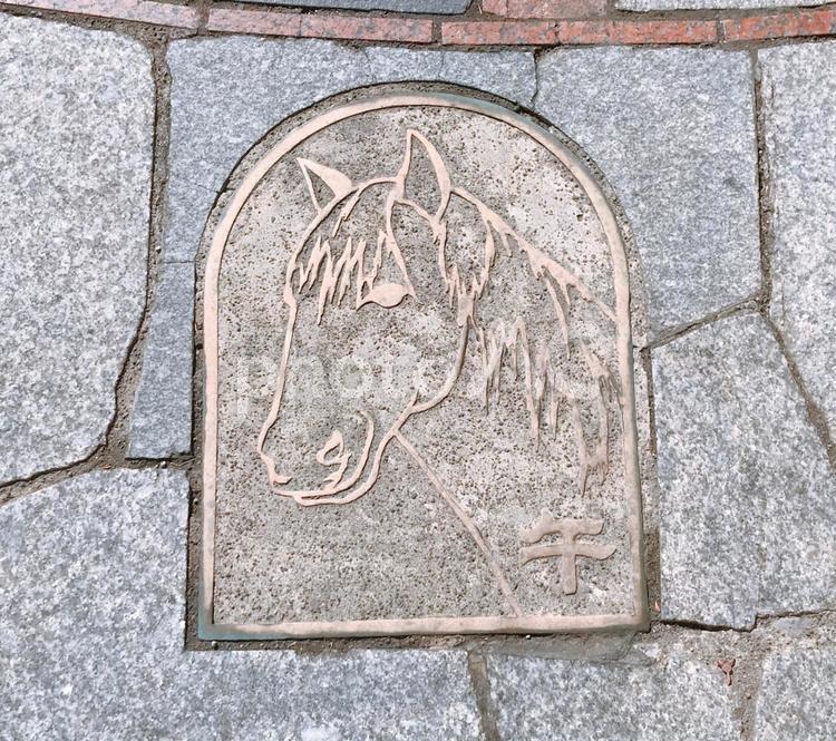 石張り 石張り,地面,面保護の写真素材