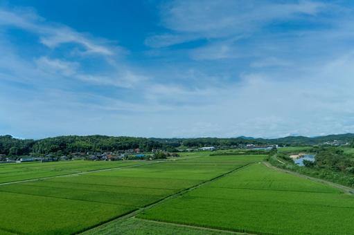 緑が美しい宇部市の農風景 山口県,田舎,田んぼの写真素材