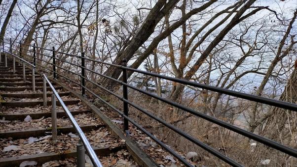 登山道_階段の写真