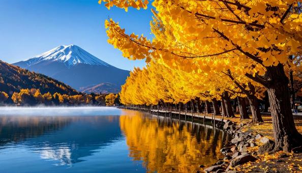 紅葉の風景 紅葉の風景の写真