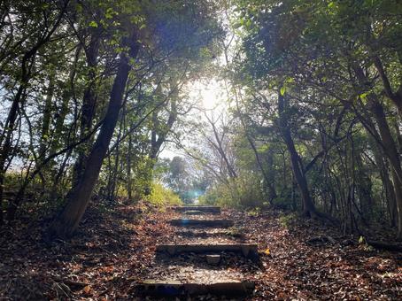 登山 山,登山,低山の写真素材