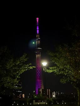 Summer sky and the Skytree shining in violet, leaves cherry tree, sky, sky tree, JPG