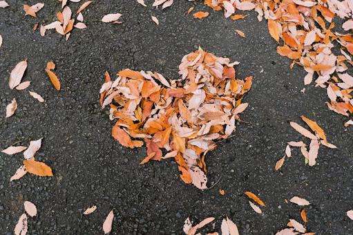 落ち葉で作ったハート 落ち葉で作ったハート 落ち葉,秋,紅葉の写真素材