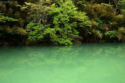 名もなき淵 名もなき淵 淵,風景,自然の写真素材