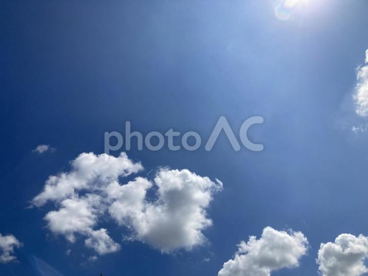 見上げる夏の空 見上げる,夏,空の写真素材