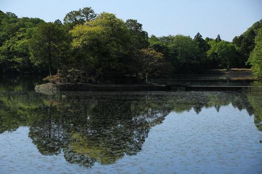 Photo, shuhin shrine, a shrine, trees, 