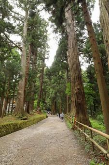中尊寺12 中尊寺12の写真