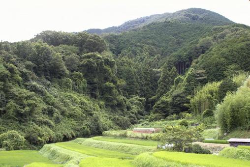 山と田んぼの風景 田んぼ,山,水田の写真素材