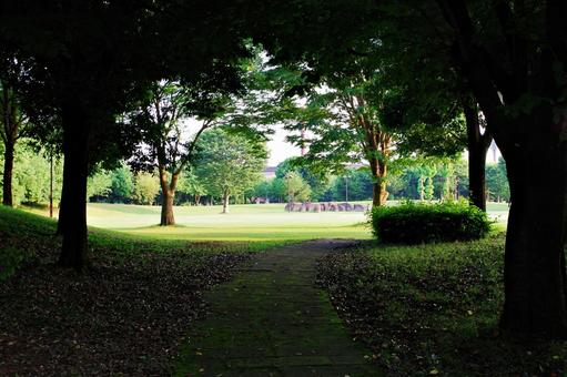 夏間公園にて 夏間公園にての写真