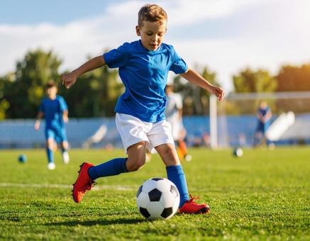 サッカー少年の練習風景の写真