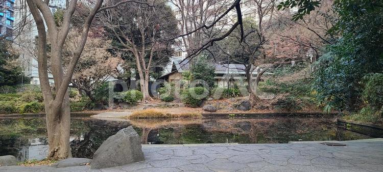 清水谷公園 清水谷公園,公園,池の写真素材