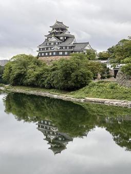 岡山城 岡山城 岡山城,岡山,城の写真素材