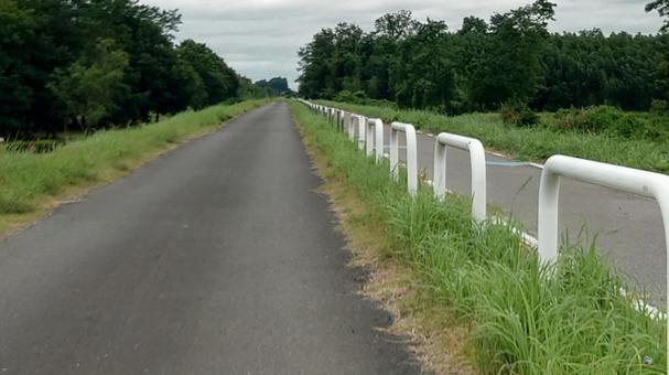 果てなく続く道 果てなく続く道 果てなく続く道,道,道路の写真素材