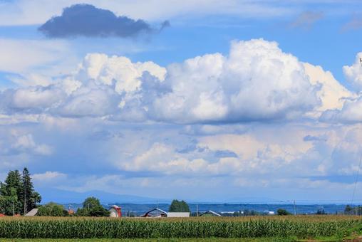 青空と雲 青空と雲 青空,雲,白い雲の写真素材