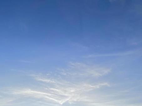 薄雲のある夕空 薄雲のある夕空の写真