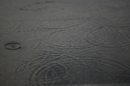 Photo, rain, crown, drop, 