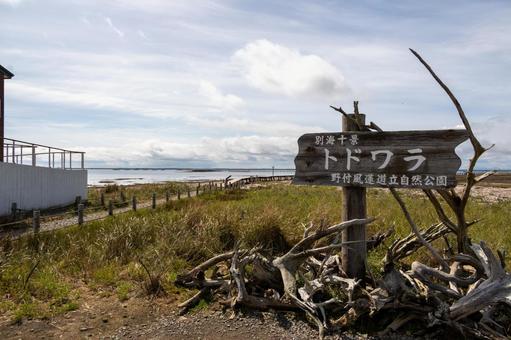 右に別海十景トドワラの看板 右に別海十景トドワラの看板 野付半島,砂嘴,別海十景の写真素材