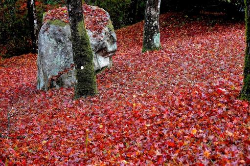 Autumn leaves 1, JPG