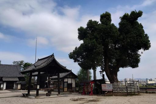 広島県-明王院-鐘楼堂 広島県-明王院-鐘楼堂の写真