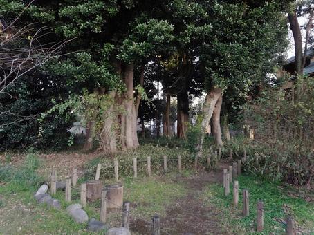 たかまつ憩いの森(練馬区) たかまつ憩いの森(練馬区)の写真