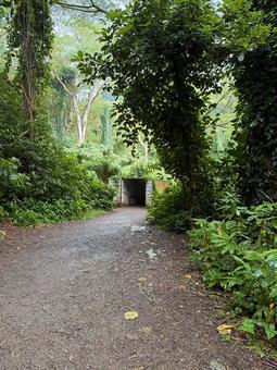 ハワイ　ココヘッドの写真