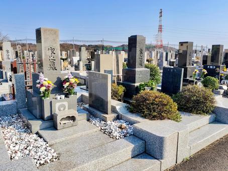墓地 墓,墓地,終活の写真素材