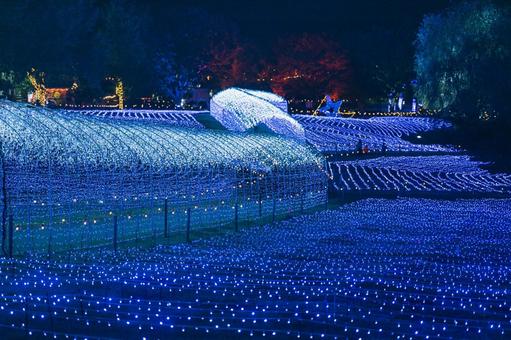 やくらいガーデンの夜景　イルミネーション 夜,冬,イルミネーションの写真素材