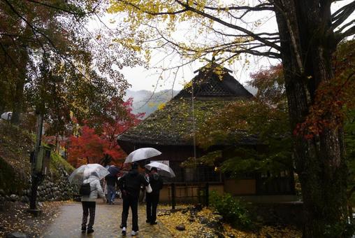 雨の三州足助屋敷 雨の三州足助屋敷 香嵐渓,三州足助屋敷,秋の写真素材