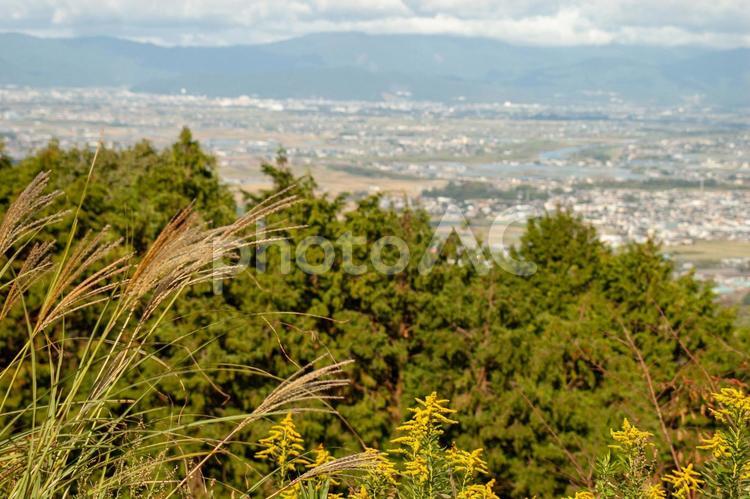 秋のススキと川と山 秋,ススキ,風景の写真素材