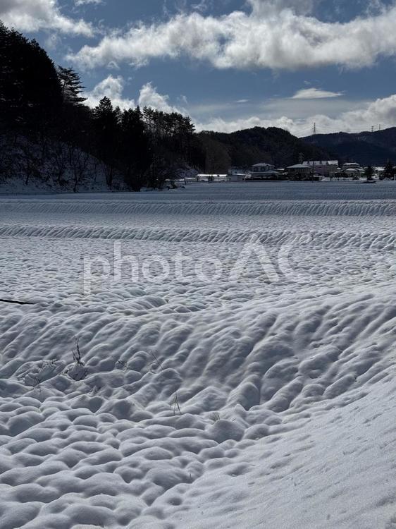 信州の雪景色（田んぼと土手） 雪景色,信州,長野県の写真素材