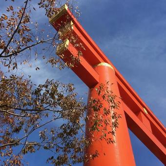 平安神宮の大鳥居の写真