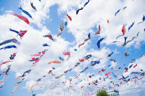 鯉のぼり 鯉のぼり,こどもの日,晴天の写真素材