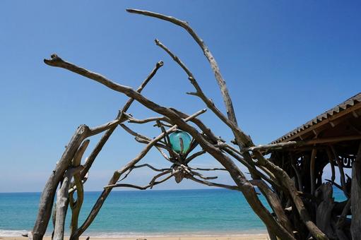 福岡 糸島 浮き球と流木のオブジェ1 糸島パームビーチ,パームビーチ,オブジェの写真素材