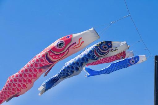 鯉魚旗兒童節圖片, JPG 鯉魚旗兒童節圖片, 鯉魚旗, 兒童節, 圖片, JPG