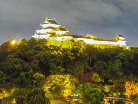 【和歌山県】和歌山市・和歌山城 和歌山城,夜景,夜の写真素材