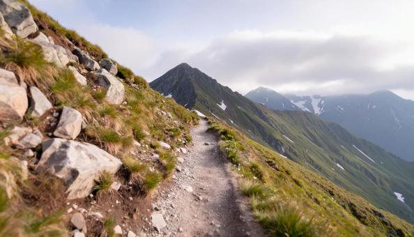 ハイキングコースの山道 ハイキングコースの山道の写真