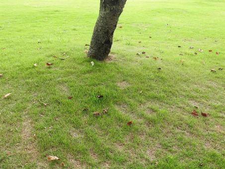 広場 広場の写真